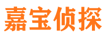 理塘侦探公司